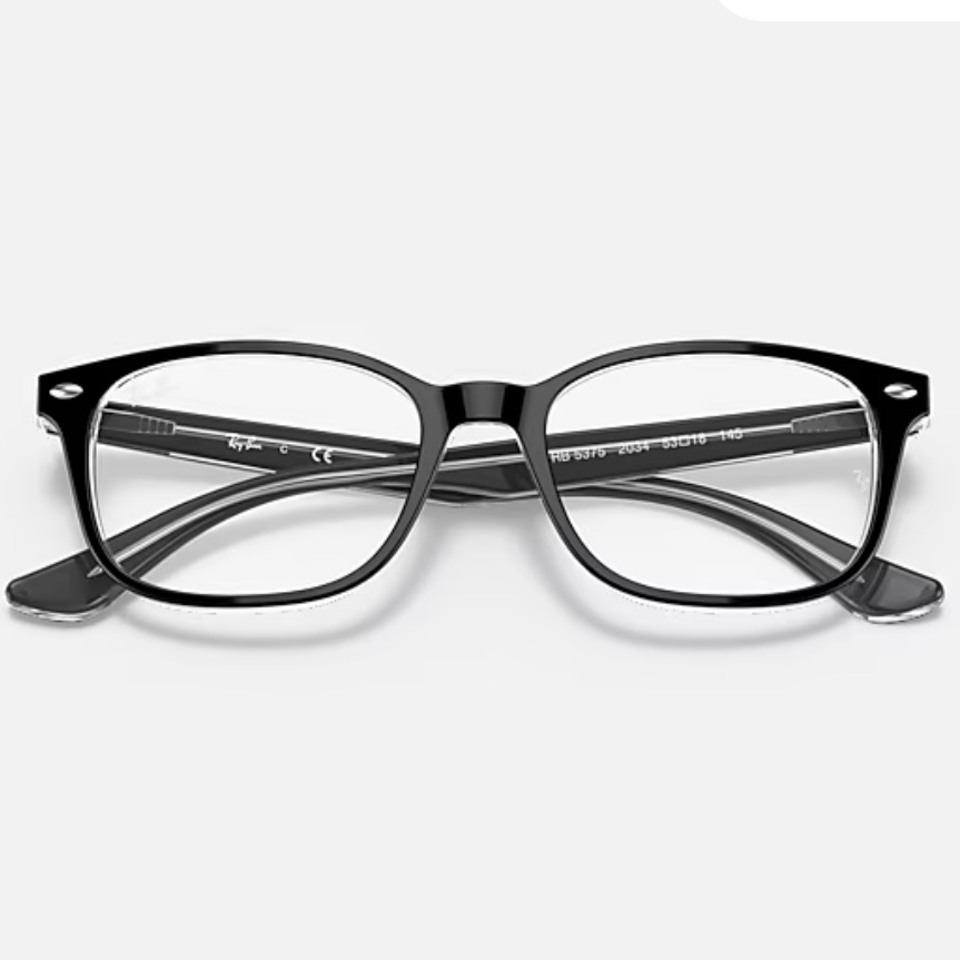 Ray-Ban Black Frames Eyeglasses